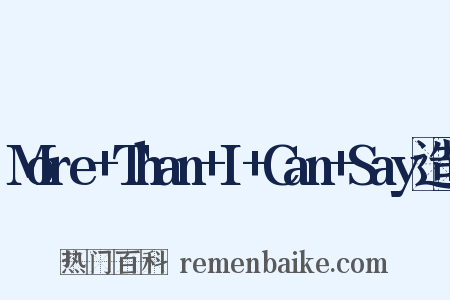 More+Than+I+Can+Say造句是什么意思的图片